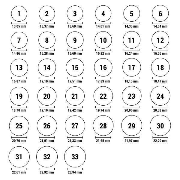 Men's Ring Hugo Boss 1580652M (24)